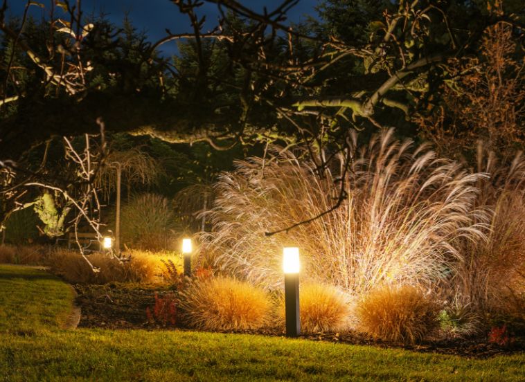 Lumière du jardin : Guide de l’éclairage extérieur