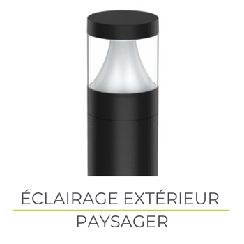 Landscape Lighting
